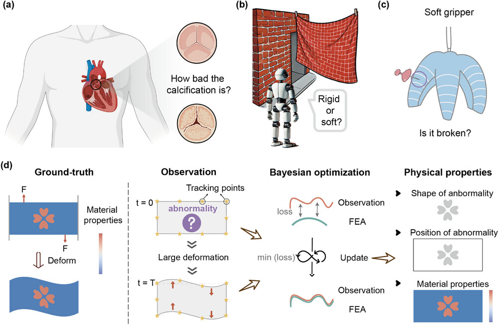 Soft Matter Analysis