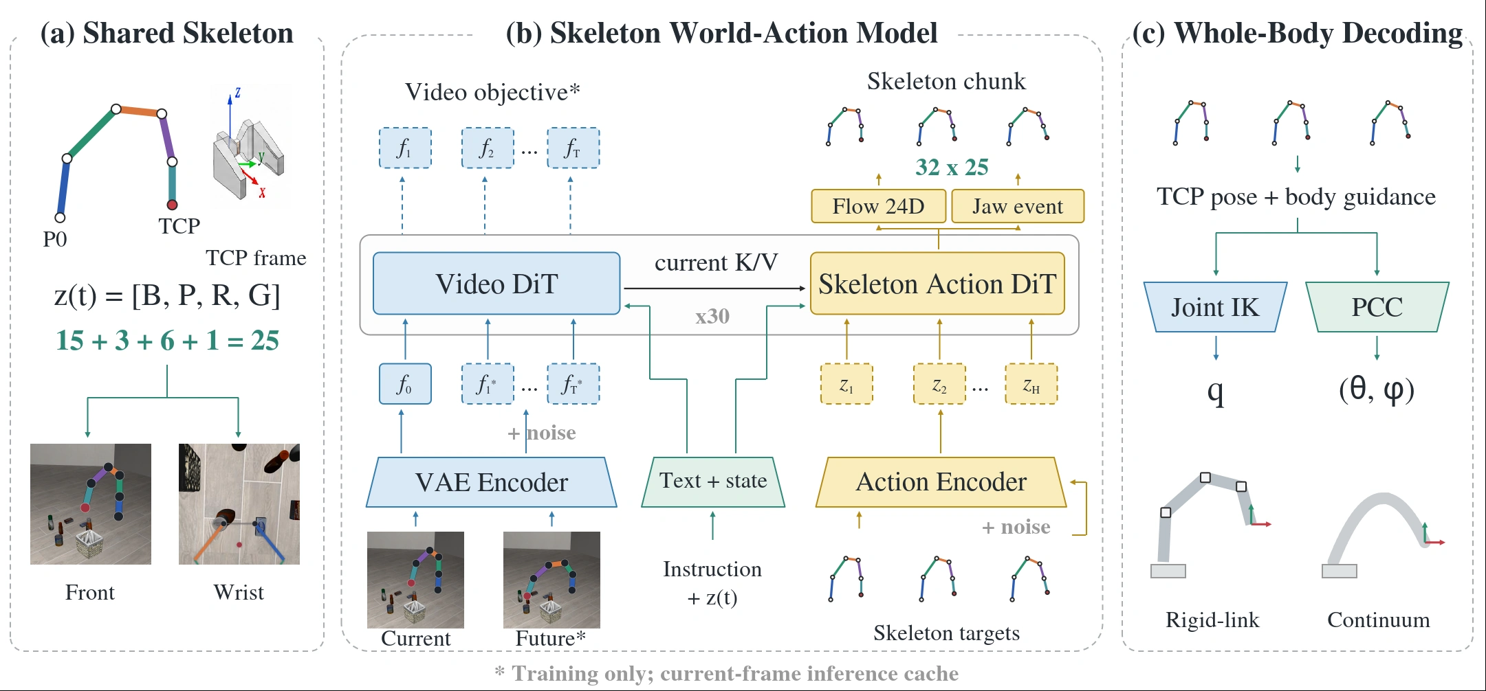 SkelWAM architecture with a shared skeleton representation, paired Video and Skeleton Action DiTs, and joint IK or PCC whole-body decoding.